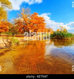 Autunno foresta paesaggio fluviale Foto Stock