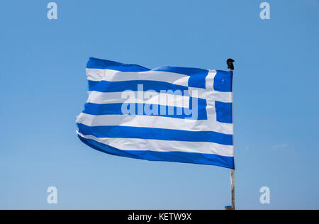 Nazionale greco di bandiera a Mykonos-town, Mykonos, Grecia Foto Stock