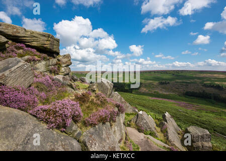 Sunny agosto giornata al higger tor nel parco nazionale di Peak District, Derbyshire. heather fioritura tra le rocce. Foto Stock