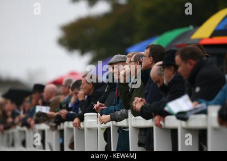 Plumpton, UK. 23 Ott, 2017. Frequentatori di gara guarda il Ian David Ltd e Canisbay Bloodstock novizi' Handicap Chase a Plumpton Racecourse. Credito: James Boardman/Alamy Live News Foto Stock