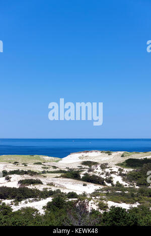 Provincia atterra a Cape Cod National Seashore. Dune di sabbia di vegetazione in primo piano & l'Oceano Atlantico in background. Foto Stock