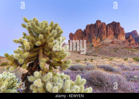 Lost dutchman state park arizona usa Foto Stock