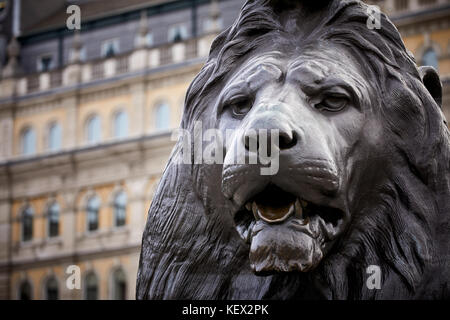 In prossimità del punto di riferimento Trafalgar Square lions città di Westminsterin Londra la città capitale d'Inghilterra Foto Stock