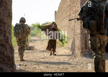 Un uomo afghano porta un fascio di foglie sul suo passato indietro i soldati britannici nella provincia di Helmand in Afghanistan Foto Stock