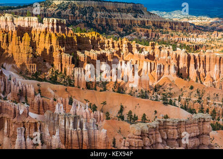 Le colorate formazioni arenarie del parco nazionale di Bryce Canyon nel tardo pomeriggio, Utah, Stati Uniti d'America Foto Stock