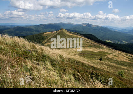 Vista sulla montagna tarnica da polonina carynska. bieszczady parco nazionale in Polonia. Foto Stock