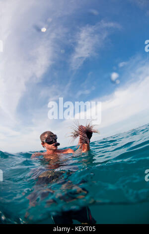 Un uomo gestisce un risparmiati da Leone offshore del Belize.Il leone è una specie invasive che danneggia l'ecologia delle barriere coralline in tutti i Caraibi. Il pesce di spine sono velenose, così divers tagliare le spine off al fine di evitare lesioni. Foto Stock