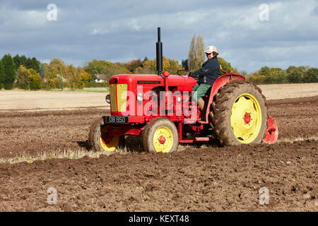 David Brown DB 950 arando un campo di stoppie REGNO UNITO Foto Stock