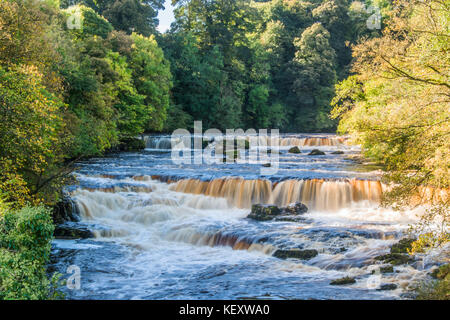 Aysgarth upper falls Foto Stock