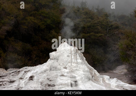 Il Lady Knox geyser a waiotapu, attiva una zona geotermica, all'estremità meridionale del vulcanico okataina attiva area geotermica, Nuova Zelanda Foto Stock