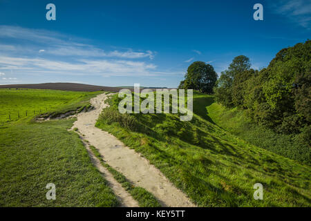 Avebury Stone Circle sito patrimonio mondiale, Wiltshire. Foto Stock