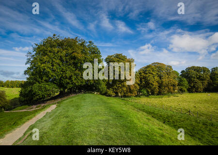 Avebury Stone Circle sito patrimonio mondiale, Wiltshire. Foto Stock