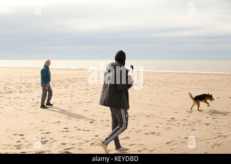 Una famiglia e i loro animali domestici trascorrere del tempo in spiaggia Foto Stock