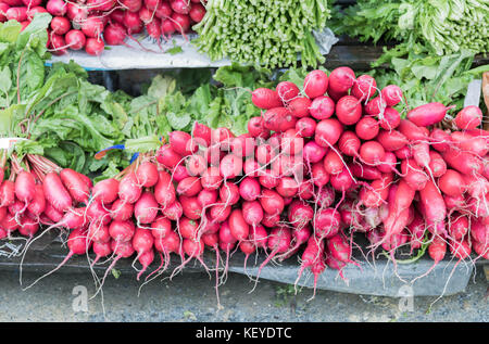 Appena raccolto, viola rafano colorato nel mercato. crescente ravanello. coltivazione degli ortaggi. Foto Stock