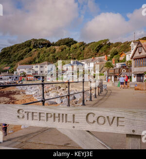 Steephill Cove sull'Isola di Wight vicino a Ventnor. Il Cove e può essere raggiunto solo a piedi dai visitatori. Foto Stock