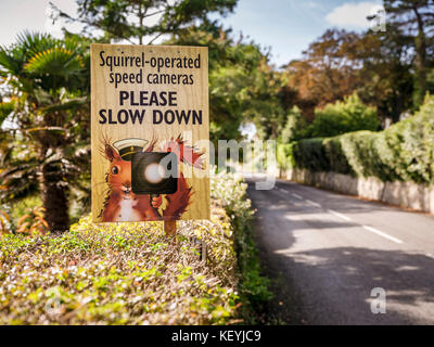 "Squirrel azionato autovelox, si prega di rallentare" un divertente fotocamera velocità segno indicante un scoiattolo rosso tenendo un autovelox chiedendo ai conducenti di rallentare. Foto Stock