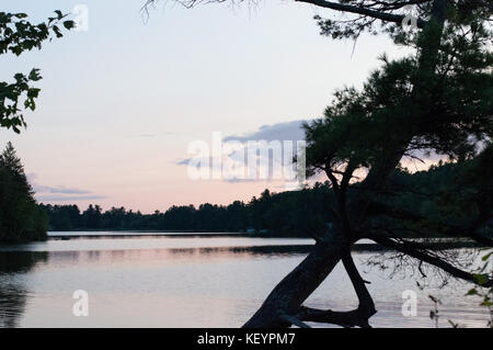 La natura si innalza al di sopra del resto per supervisionare un bellissimo lago come il sole si siede sul treeline Foto Stock