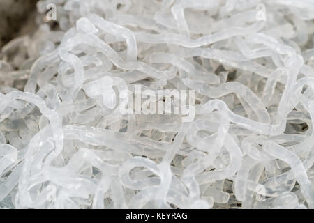 Barili Kelp trasparenti (alginato di sodio). Foto Stock