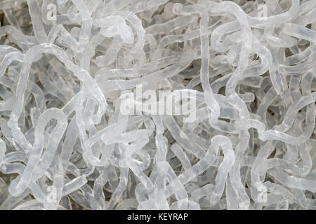 Barili Kelp trasparenti (alginato di sodio). Foto Stock