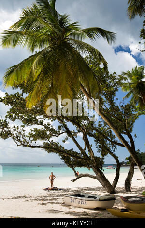 La Seychelles, Mahe, Beau Vallon, spiaggia, turisti in ombra di Palm tree Foto Stock