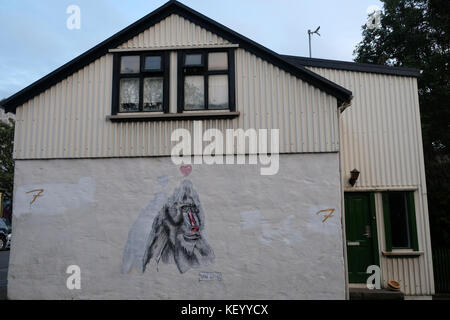 Monkey murale e interrogativi sul lato della parete sulla costruzione di Reykjavik, capitale dell Islanda e Scandinavia Foto Stock