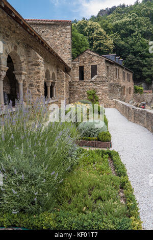 Giardino di erbe in abbazia romanica di Saint martin du canigou nei Pirenei francesi Foto Stock