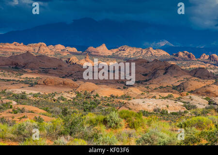 Pietrificate dune di sabbia del Parco Nazionale di Arches, Utah, Stati Uniti d'America Foto Stock