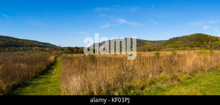 Vista panoramica di una prateria sul lato est di devli lago del parco statale, vicino a Baraboo, sauk County, Wisconsin. Foto Stock