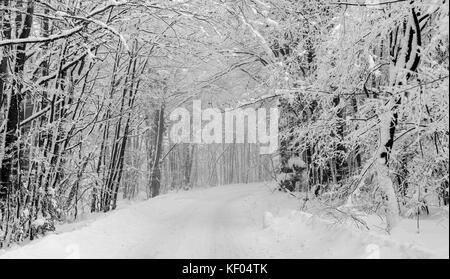 Un'immagine panoramica composita che mostra una strada innevata che scompare tra gli alberi, Parco Nazionale dei Laghi di Plitvice, Croazia, gennaio 2017 Foto Stock