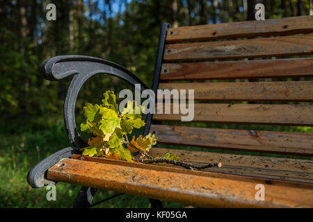 Autunno quercia lascia sul banco di legno Foto Stock