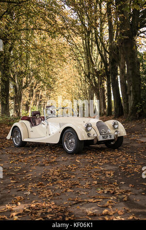 Una Morgan Sports Car crema fotografata in autunno, a Cragg Wood, Rawdon, Yorkshire, Regno Unito Foto Stock