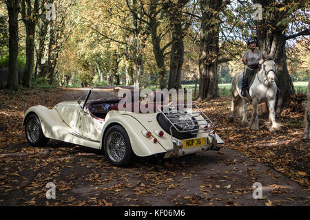 Una crema Morgan Auto sportiva fotografato in autunno e in legno di Cragg, Rawdon, Yorkshire Foto Stock