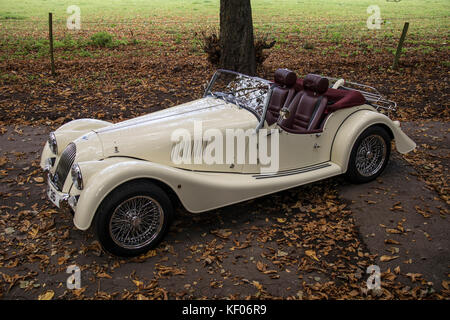 Una crema Morgan Auto sportiva fotografato in autunno e in legno di Cragg, Rawdon, Yorkshire Foto Stock