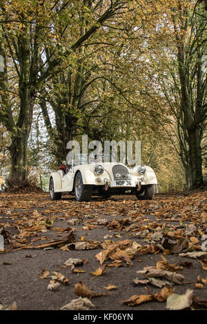 Una crema Morgan Auto sportiva fotografato in autunno e in legno di Cragg, Rawdon, Yorkshire Foto Stock