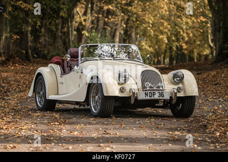 Una crema Morgan Auto sportiva fotografato in autunno e in legno di Cragg, Rawdon, Yorkshire Foto Stock