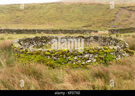 Un tradizionale appuntamento pecore penna o un contenitore nel Parco nazionale di Northumberland, England, Regno Unito Foto Stock