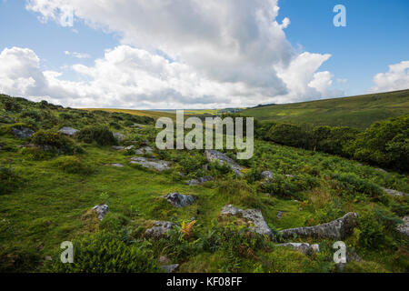 Wistman's Wood. Antico bosco di Dartmoor. Alberi ricoperti di licheni e massi di granito. Casa di adoratori e fate. Notevole caos interno. Foto Stock