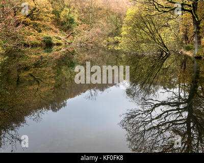 In autunno gli alberi si riflette in Guisecliff Tarn vicino ponte Pateley Yorkshire Inghilterra Foto Stock