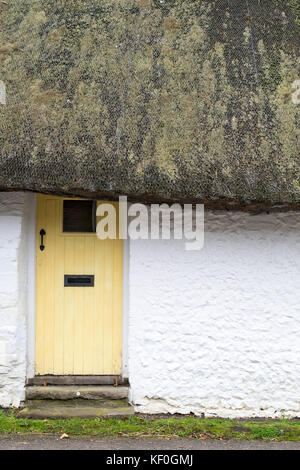 Legno giallo porta anteriore in un cottage in paglia in Singleton, West Sussex, in Inghilterra Foto Stock