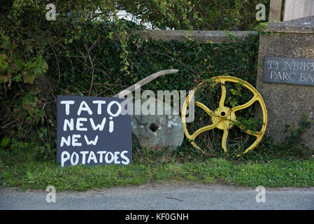 Cartello delle patate novelle, Porthgain, Pembrokeshire, Dyfed, Galles, Regno Unito. Foto Stock