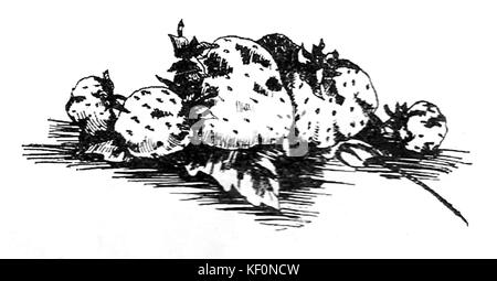 Questa pagina di un ricettario di frutta conservato mostra varie conserve di frutta, tra cui marmellate, composte e altri prodotti a base di frutta in scatola. Mette in evidenza i metodi tradizionali di conservazione della frutta popolari in varie tradizioni culinarie. Foto Stock