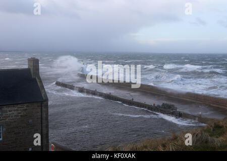 Porto Burghead in Scozia essendo martoriata da enormi le onde che si infrangono sulle le difese del mare durante una tempesta di neve. Foto Stock