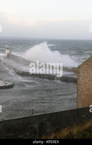 Porto Burghead in Scozia essendo martoriata da enormi le onde che si infrangono sulle le difese del mare durante una tempesta di neve. Foto Stock