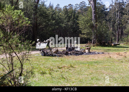 Rifiuti bruciati nella natura causando inquinamento ambientale Foto Stock