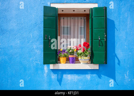 Venezia Italia Venezia pareti blu finestra con persiane verdi e vasi di fiori Burano Italia eu europe Foto Stock