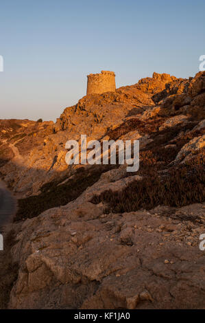La Corsica e Ile Rousse (isola rossa): tramonto sulla torre genovese costruita nel XV secolo sulla sommità del Ile de la pietra (stone island), il promontorio Foto Stock