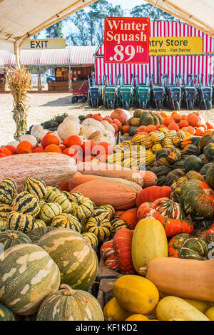 Tabella di luminoso si schiaccia in molte varietà all'aperto sul mercato del paese Foto Stock