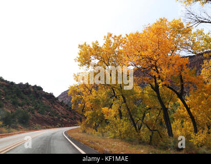 Jemez Mountain Trail National Scenic Byway nel Nuovo Messico Foto Stock