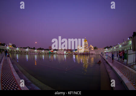 Delhi, India - 19 settembre 2017: persone non identificate swiming e camminare nei pressi del laghetto artificail, con una bella vista del famoso Gurdwara Sikh tempio dorato Harmandir Sahib si riflette nel laghetto artificiale, con uno splendido cielo viola in India Foto Stock