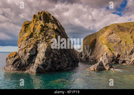 Rocce della costa a Mullion Cove, Cornwall, England Regno Unito Foto Stock